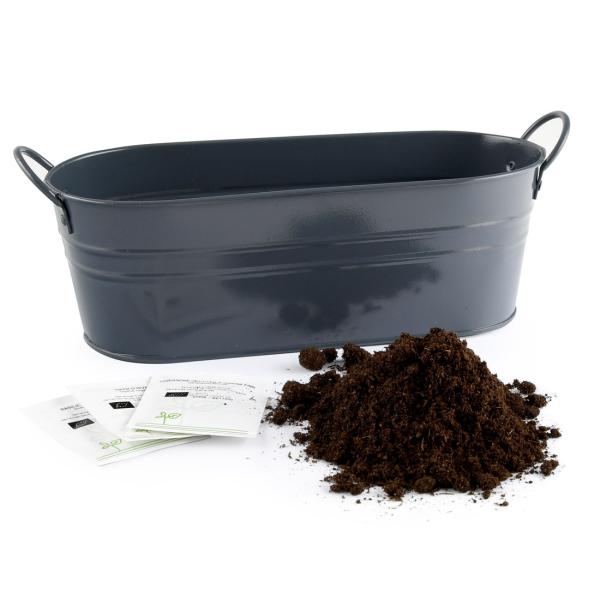 Radis et Capucine - Jardinière 3 aromates - Basilic - Coriandre - Thym - MEDIA_EN_SITUATION_2